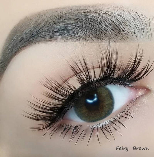 Fairy brown 